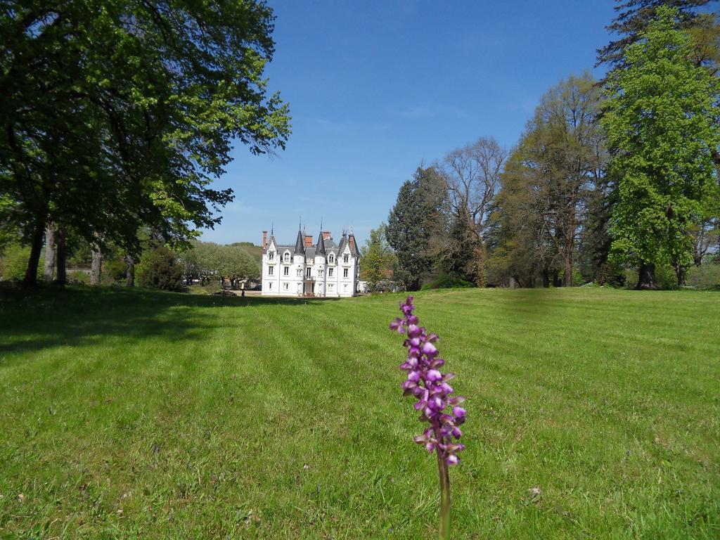Chateau De La Motte Noailly Εξωτερικό φωτογραφία